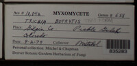 Image Associated With the Occurence